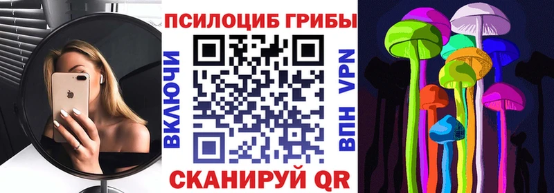 kraken как войти  Котельники  Псилоцибиновые грибы Psilocybe 